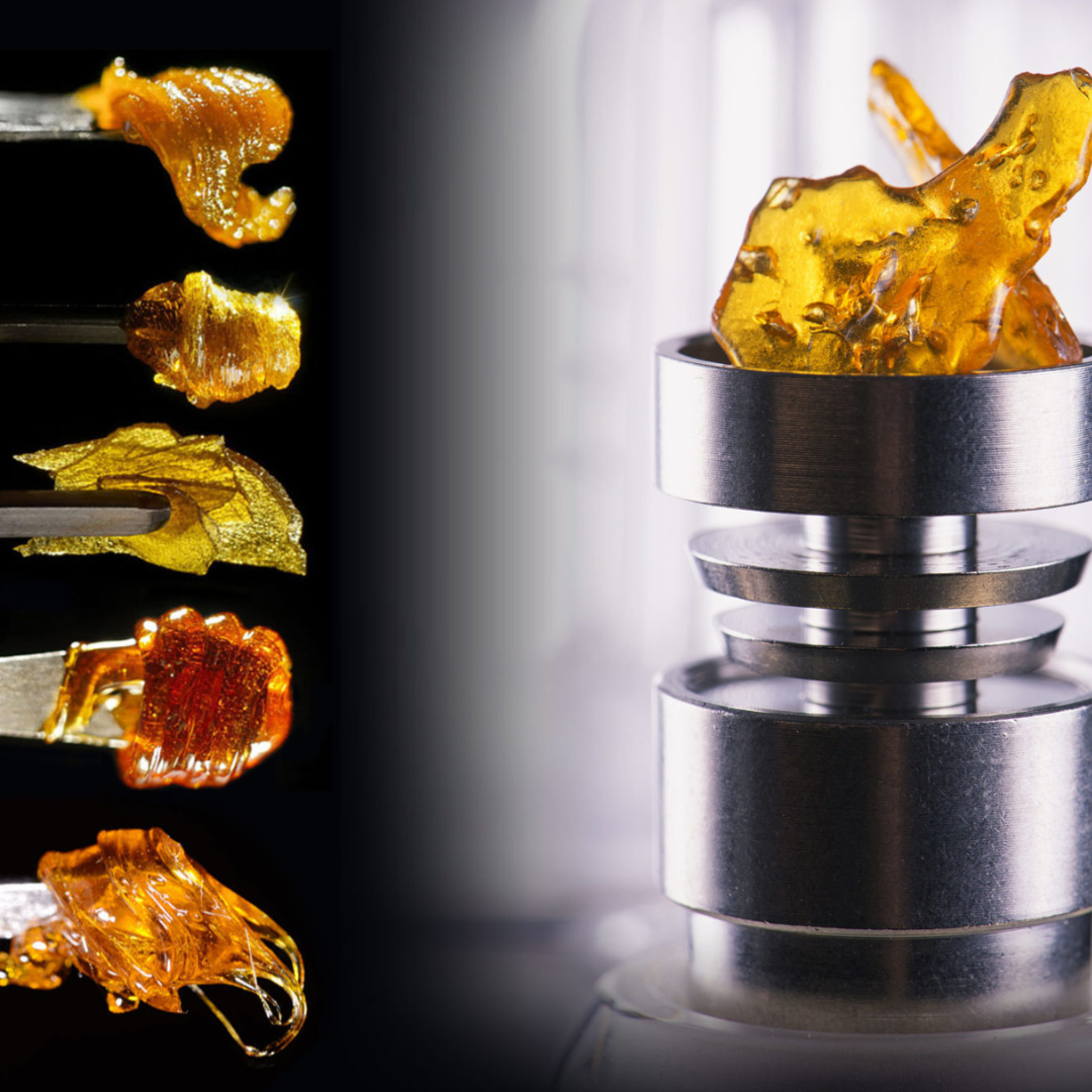 Adentrándonos en el Mundo de los Concentrados de Cannabis: Tipos y Vaporización