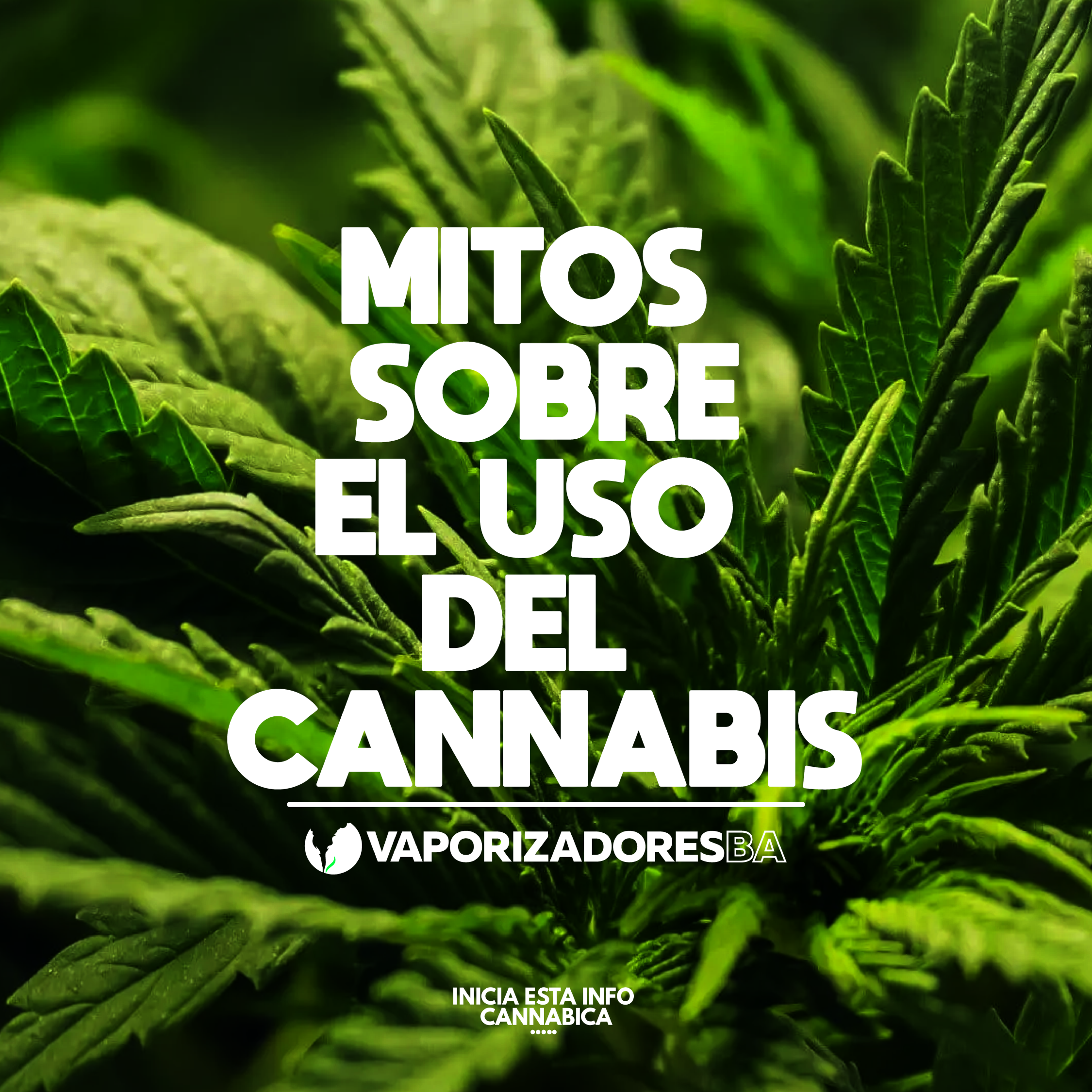Mitos sobre el uso del cannabis