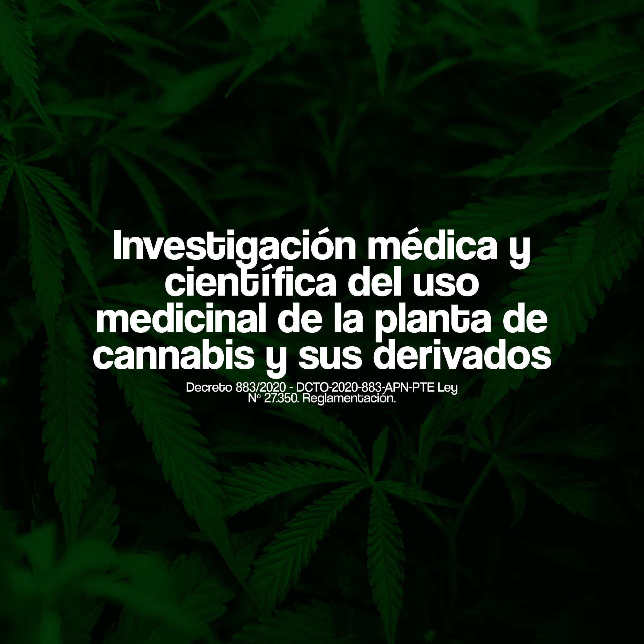 Decreto 883/2020 - INVESTIGACIÓN MÉDICA Y CIENTÍFICA DEL USO MEDICINAL DE LA PLANTA DE CANNABIS Y SUS DERIVADOS