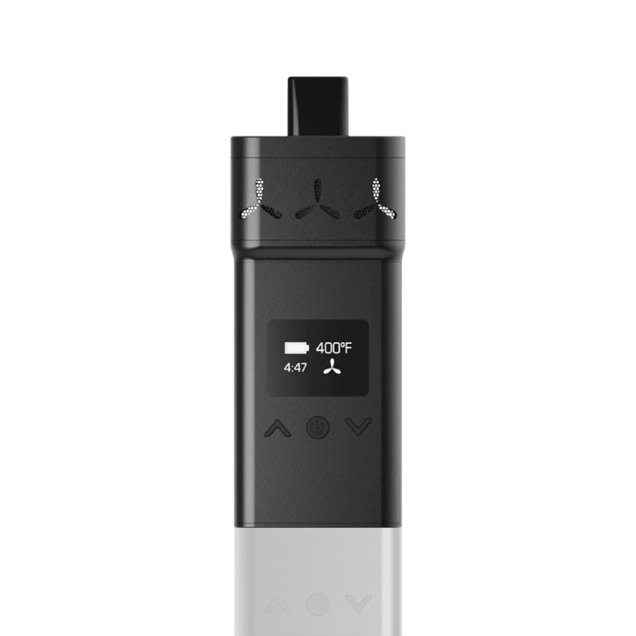Vaporizador: Airvape X