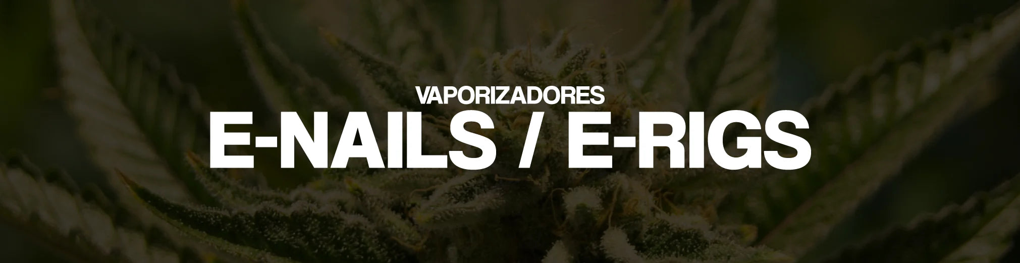 E-Nails / E-Rigs