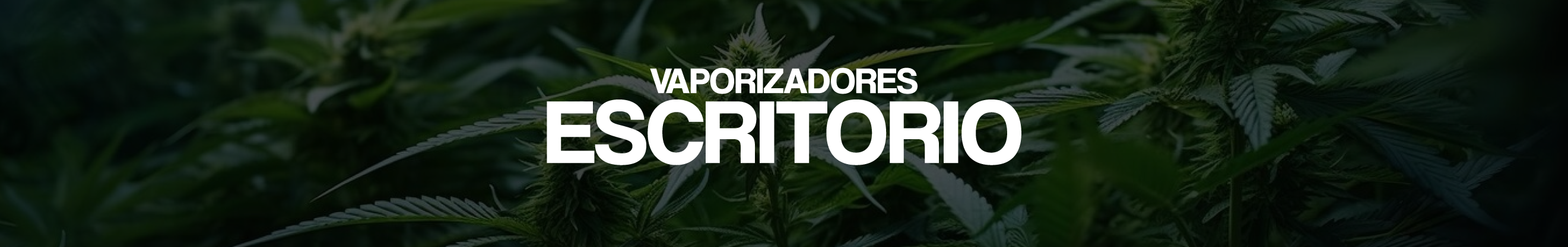 Escritorio