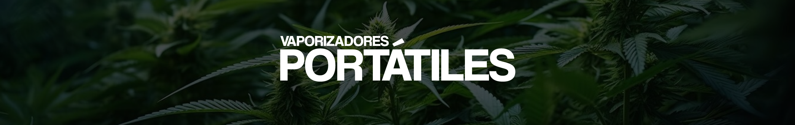 Portátiles