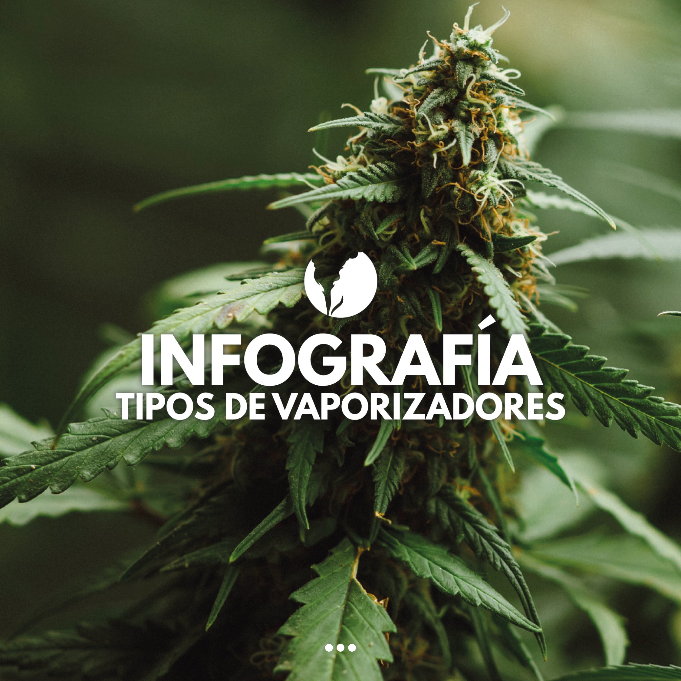 Tipos de vaporizadores - Infografía