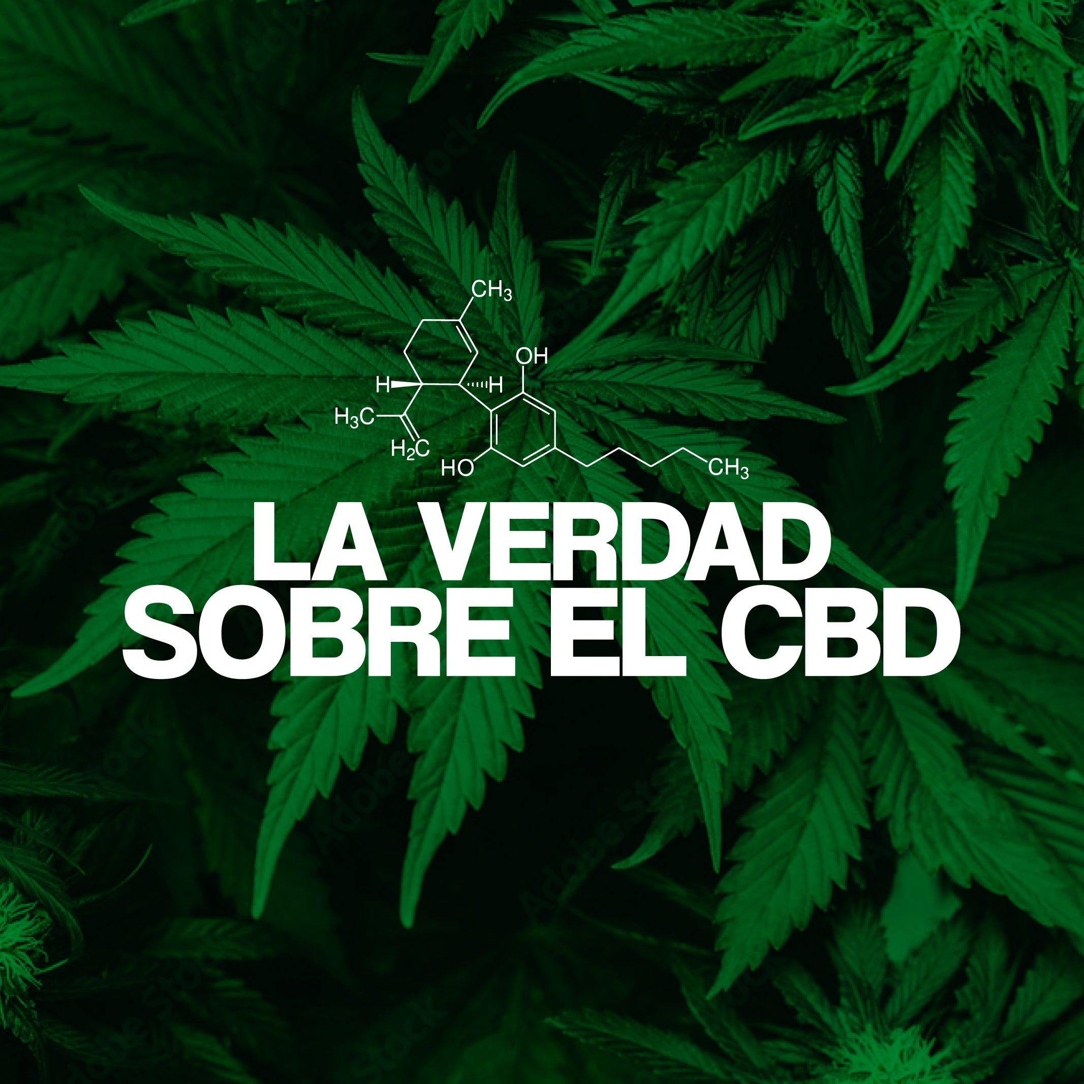 La verdad sobre el CBD