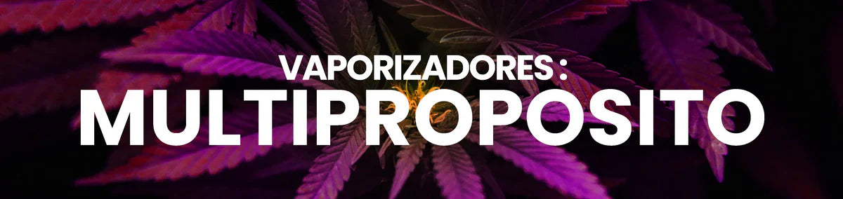 Vaporizadores Multiproposito