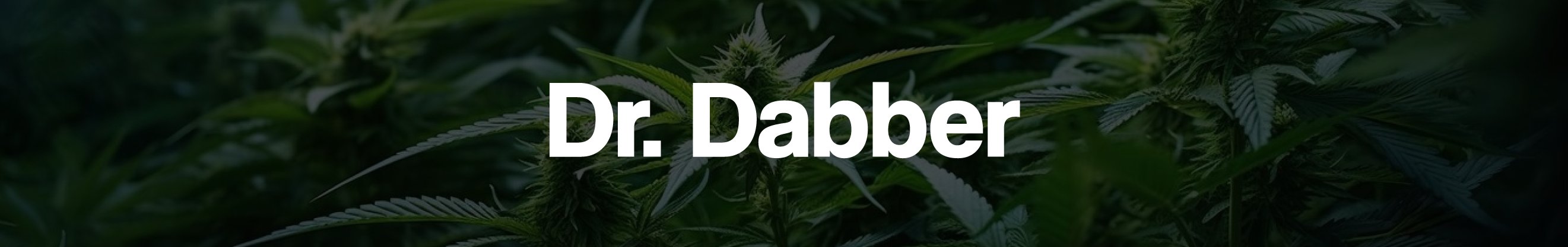 Dr. Dabber